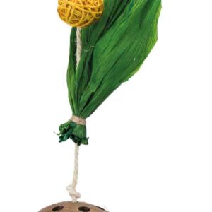 Kokosnuss am Sisalseil