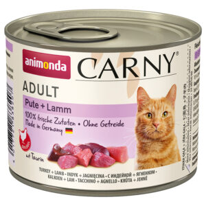 Cat Carny Adult