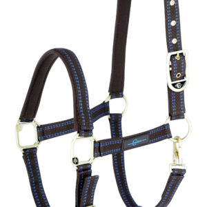 Pferdehalfter für Goleygo-System