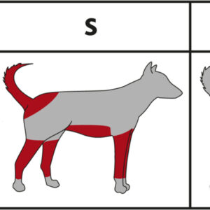 Schermaschinen-Set Andis TR1100