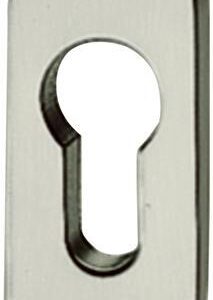 PT-Schlüsselrosette,PZ, 0171729,oval,Alu+9016weiß