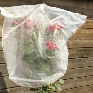 Rosenhaubenvlies 5er Set 0,8x0,75 m 17g