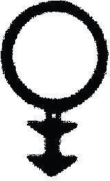 Schlauchdichtung SC414Schwarz