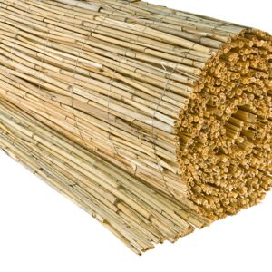 Sichtschutzmatte Schilfrohr