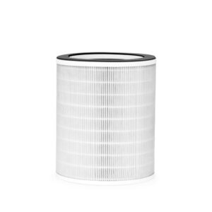 Hepa13 Ersatzfilter