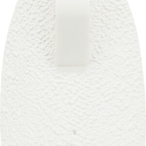 Calcium-Stein mit Sepia