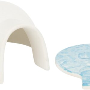 Iglu mit Kühlplatte