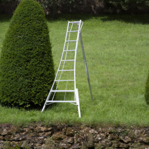 3-Holm-Gartenleiter höhenverstellbar