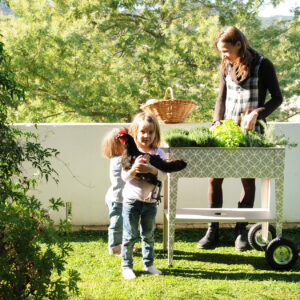 Kräuterfabrik Barcelona Dale