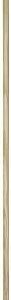 Besenstiel mit Gewinde roh 1400x24 mm
