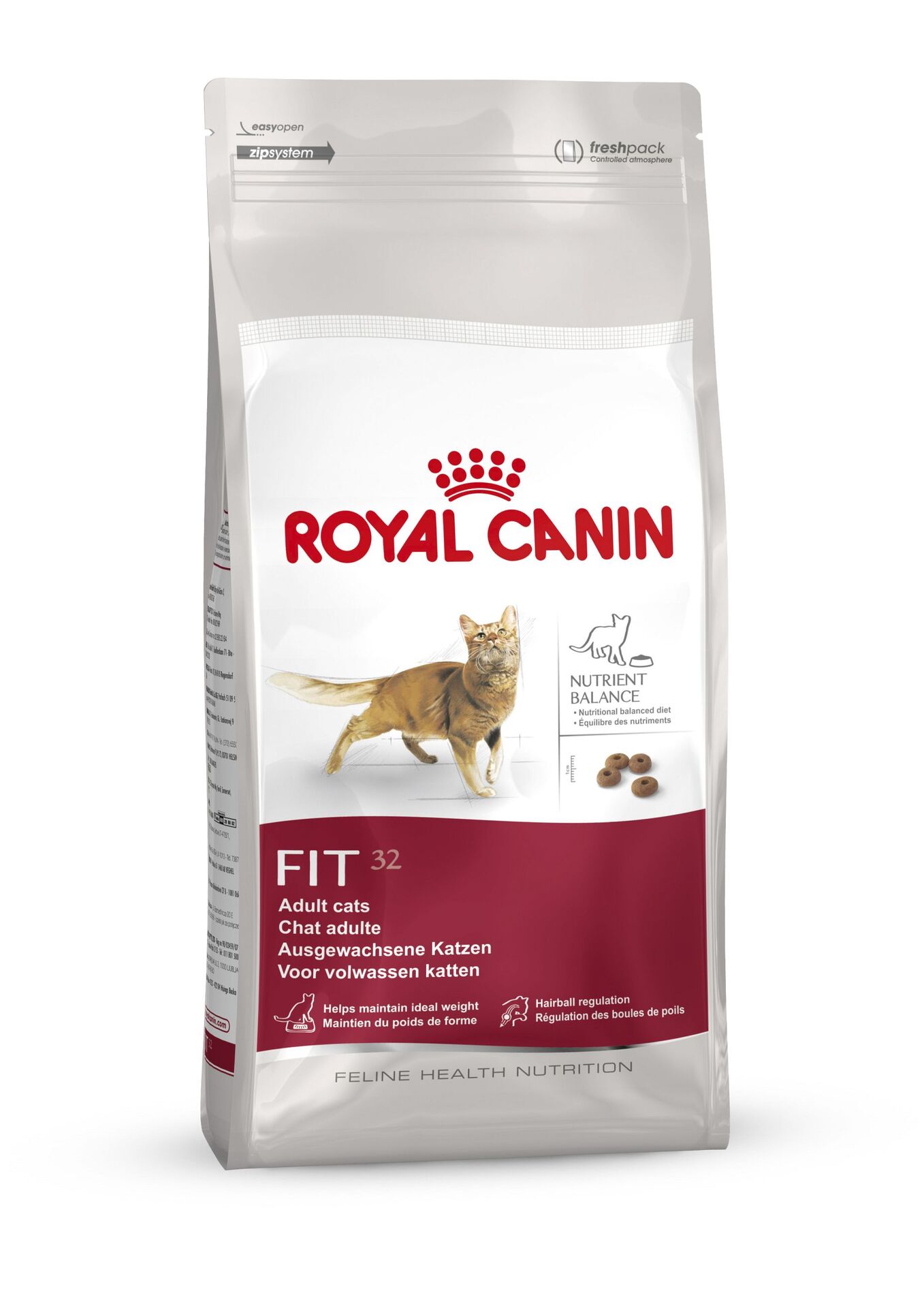 Feline Fit 32 1 Feline Fit 32