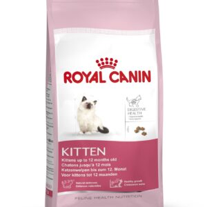 Feline Kitten 36