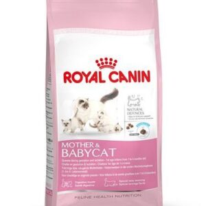 Feline Babycat 34  400g
