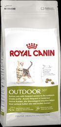 RC Feline Outdoor 30
