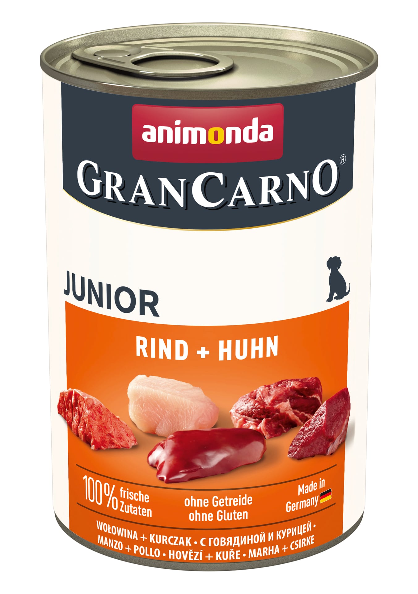 Dog GranCarno Junior 1 Dog GranCarno Junior