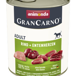 Dog GranCarno Adult