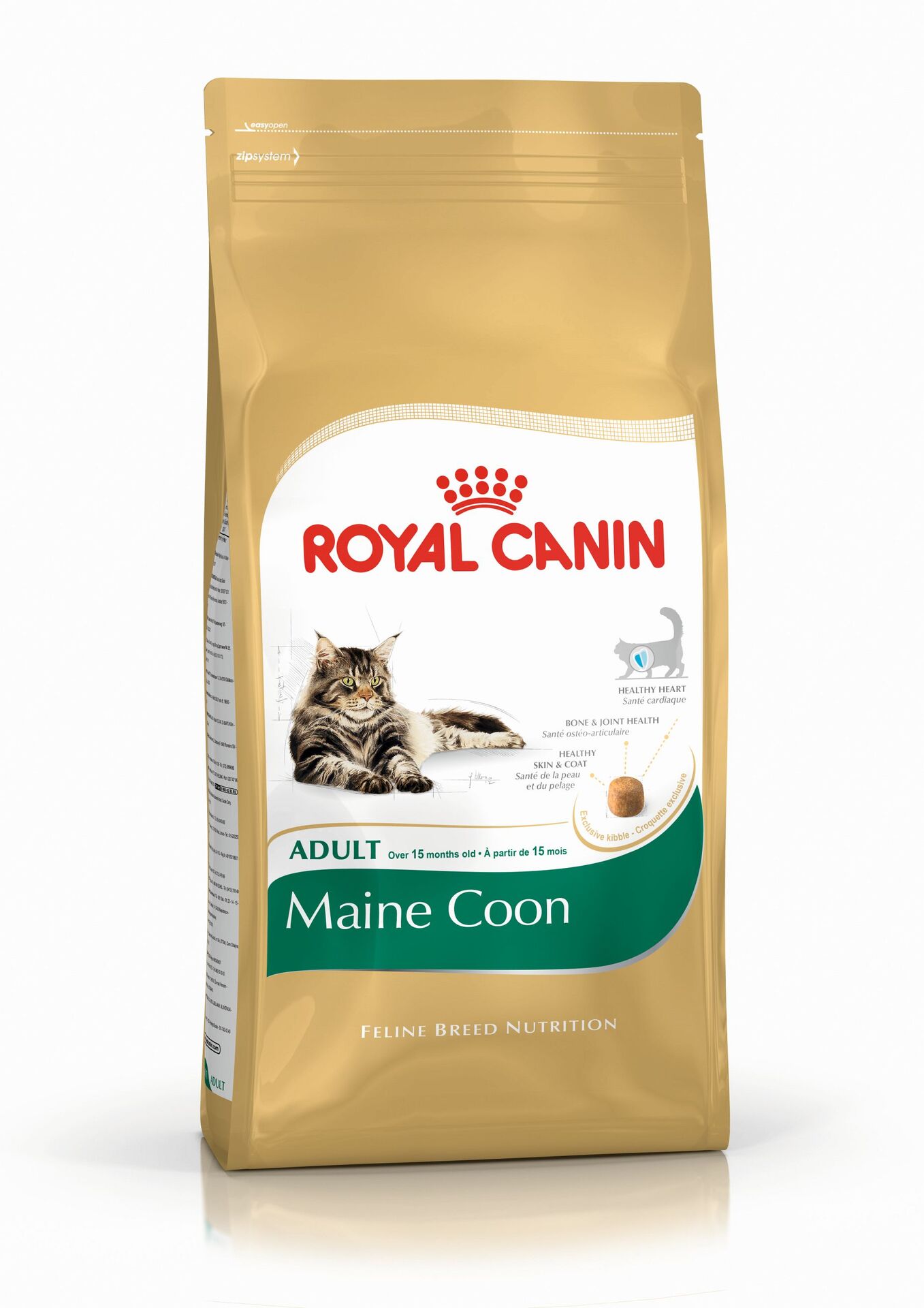 Feline Maine Coon 31 1 Feline Maine Coon 31