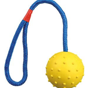 Ball am Seil