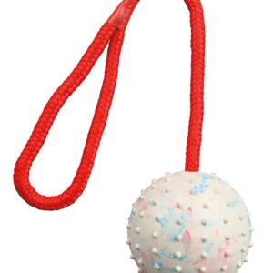 Ball am Seil