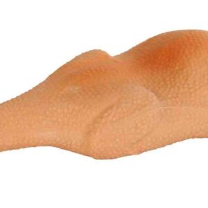 Huhn Latex