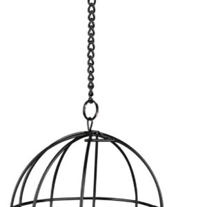 Food-Ball