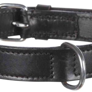 Active Halsband