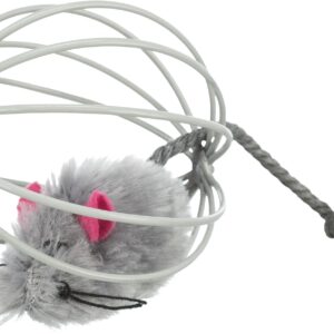 Maus im Gitterball
