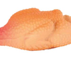 Huhn Latex