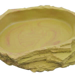 Water Dish