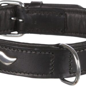 Active Halsband