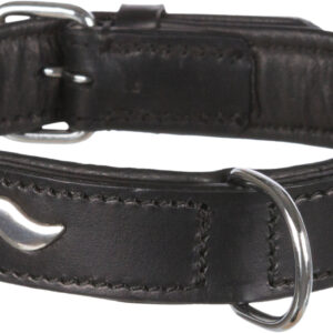 Active Halsband
