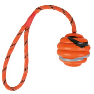Wellenball am Seil Ø6/30cm