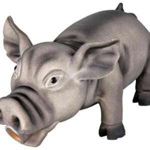 Schwein