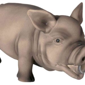 Schwein