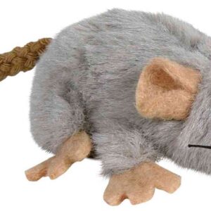 Maus
