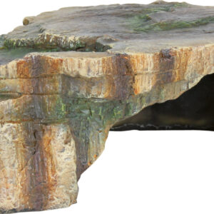 Reptilienhöhle