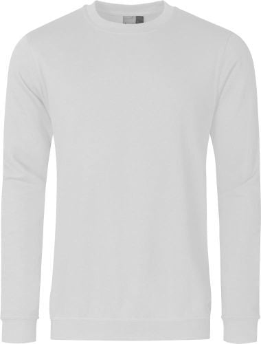 Sweatshirt 1 Sweatshirt