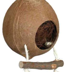 Kokosnusshaus