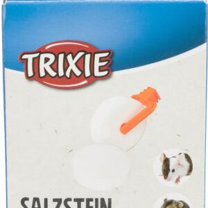Salzstein