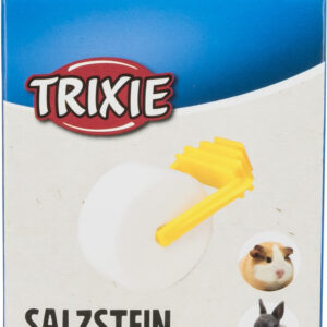 Salzstein