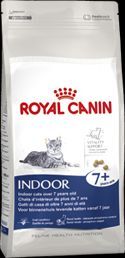 RC Feline Indoor 7