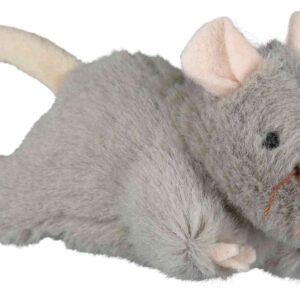 Maus