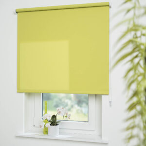 Seitenzug-Rollo Uni Tageslicht