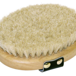 Schmusebürste (oval) mit Holzrücken