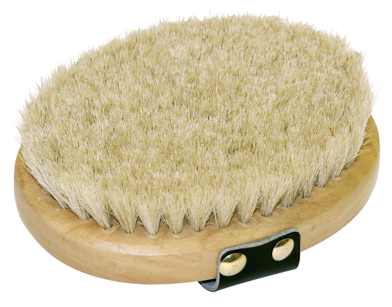 Schmusebürste (oval) mit Holzrücken 1 Schmusebürste (oval) mit Holzrücken