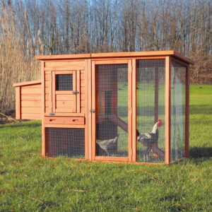 Hühnerstall mit Freilaufgehege
