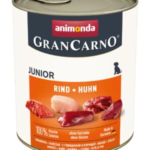 Dog GranCarno Junior