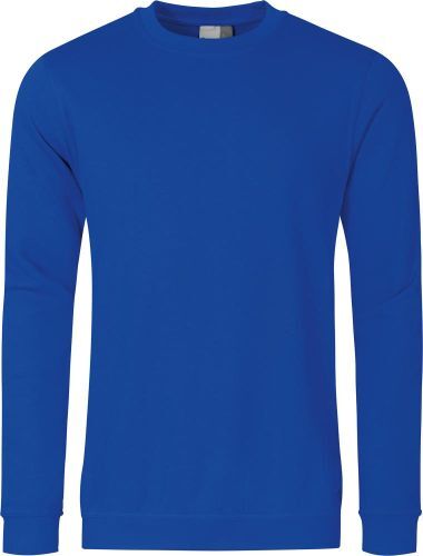 Sweatshirt 1 Sweatshirt