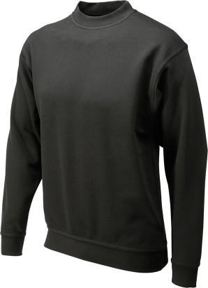 Sweatshirt 1 Sweatshirt