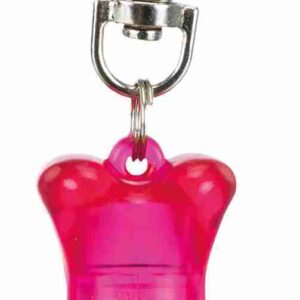 Flasher für Hunde